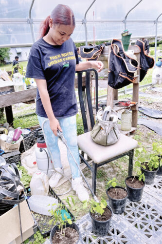 Summer program cultivates the future